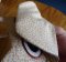 CCQ0379 - Owls