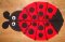 CCQ0556 - Ladybug Rag Quilt