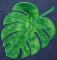 CCQ5054 - Monster Leaf Applique