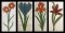 CCQ5122 - READ Flowers Set 2