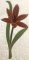 CCQ5122 - READ Flowers Set 2