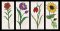 CCQ5124 - READ Flowers Set 4
