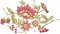 BFC1983 Romantic Vintage Florals