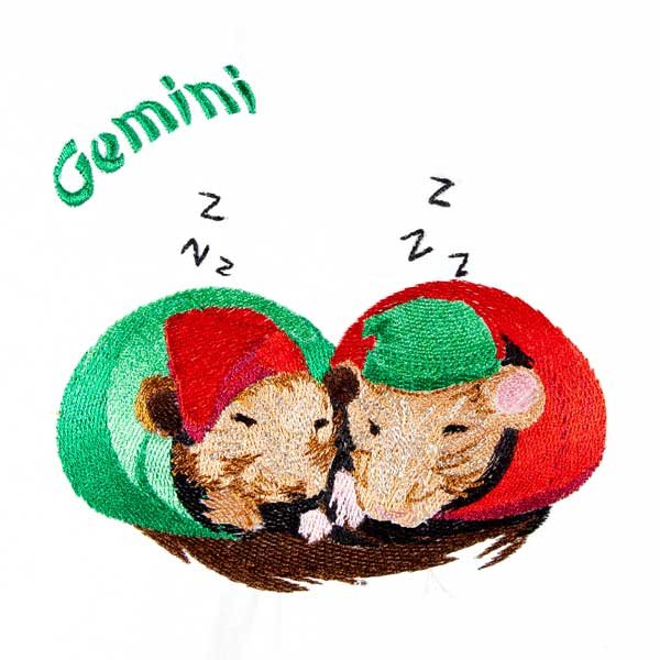 BFC31528 Gemini