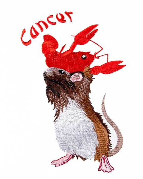 BFC31529 Cancer