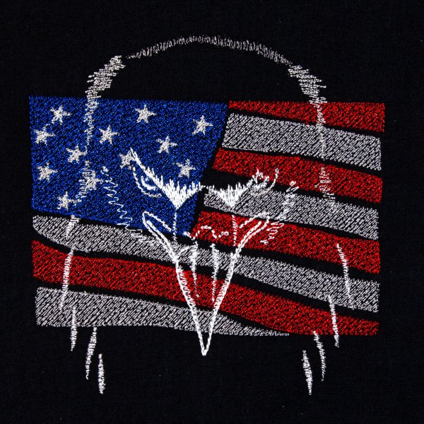 BFC31755 Patriotic Eagle on Black no.1