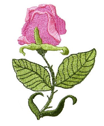 Art Nouveau Medium Rose