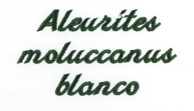 BFC0660 Botanical Prints