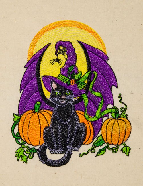 BFC31686 Delight's Wayward Cat