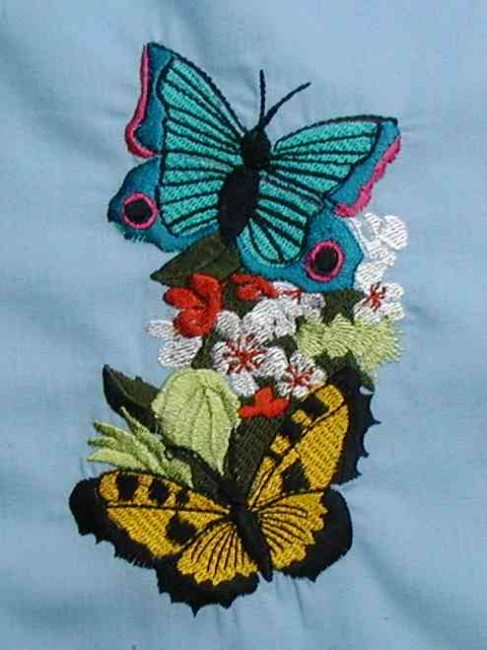 BFC0166C Victorian Butterfly Frame