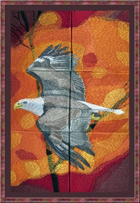 Seasons of the Eagle