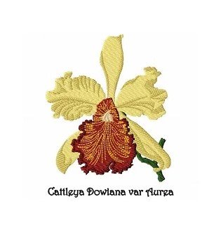 RMG1019 Vvintage Orchid