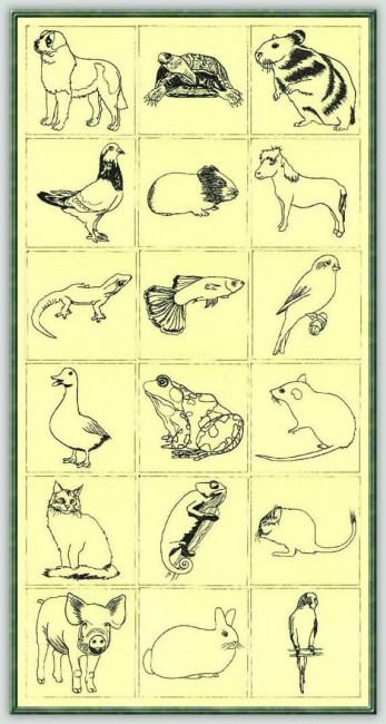 BFC1020 Quiltables - Pets