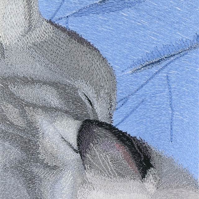 BFC1037 Window-A Long Day-4 Kittens
