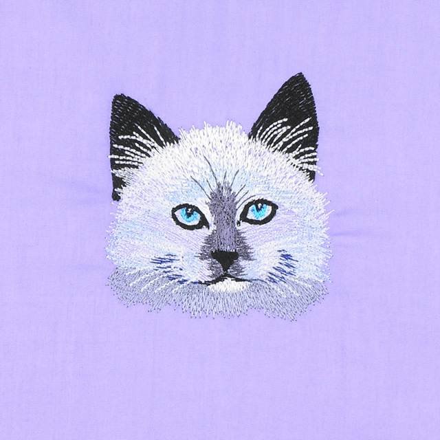 BFC30672 BFC1038 Mama Cat, Kittens & Roses - 01