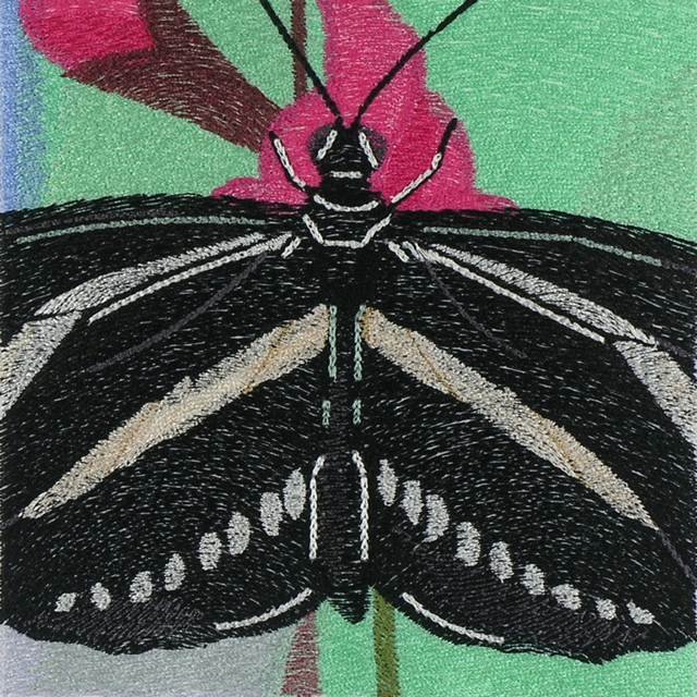 BFC1039 Window Zebra Longwing Butterfly
