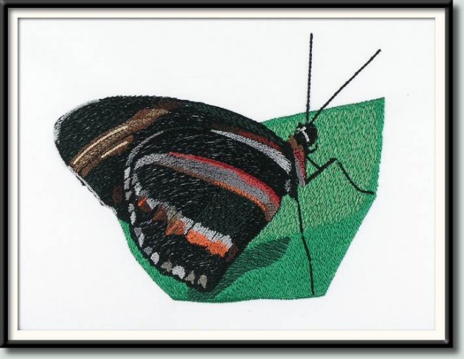 BFC1040 Three Butterflies