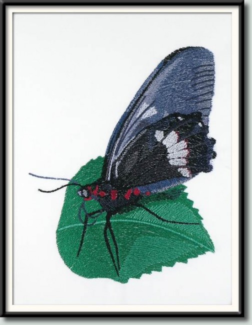 BFC1040 Three Butterflies