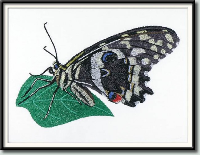 BFC1040 Three Butterflies