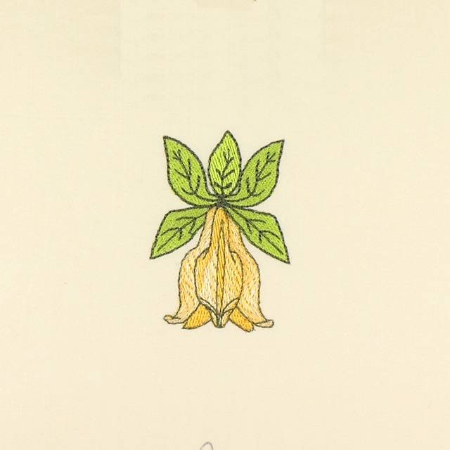 BFC1041 Art Nouveau Cockatoos Plus