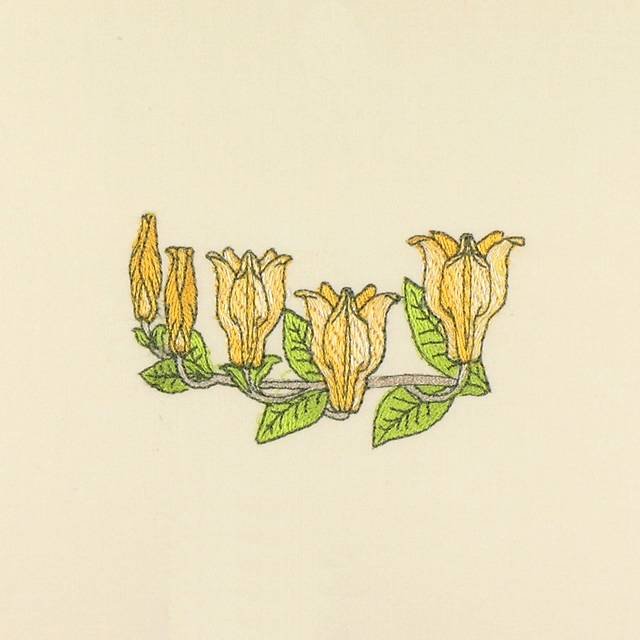 BFC1041 Art Nouveau Cockatoos Plus