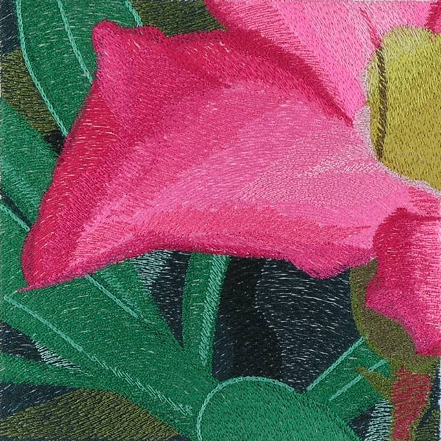 BFC1042 Window-Desert Roses