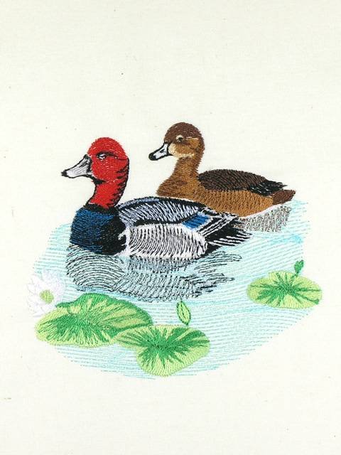 BFC01049 QIH and Reg Stippled Duck Quilt Set