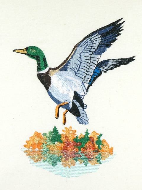 BFC01049 QIH and Reg Stippled Duck Quilt Set