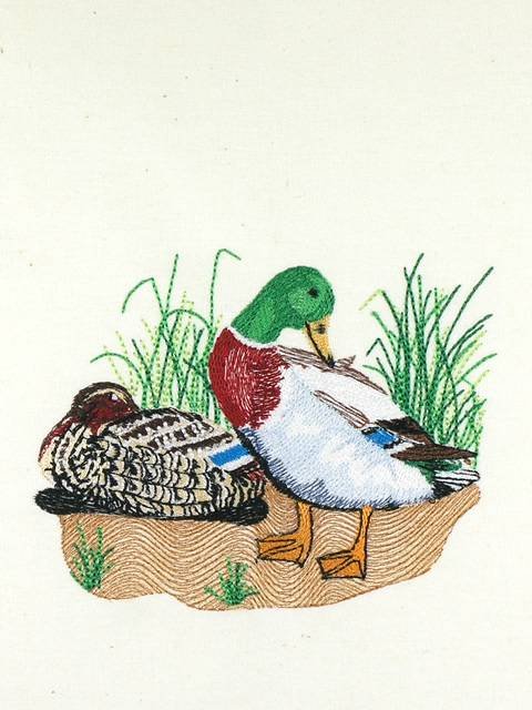 BFC01049 QIH and Reg Stippled Duck Quilt Set