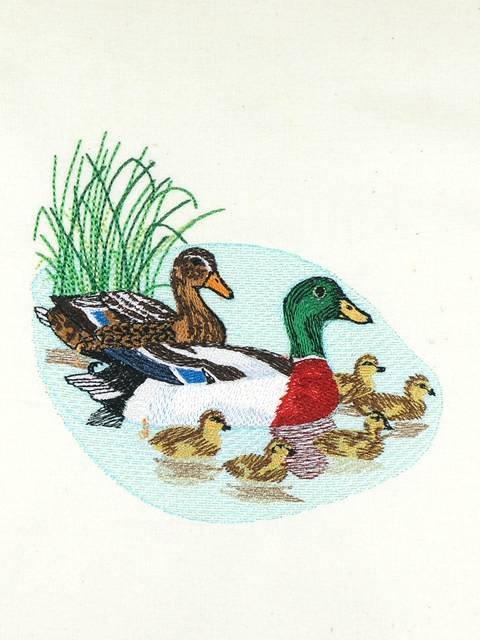 BFC01049 QIH and Reg Stippled Duck Quilt Set