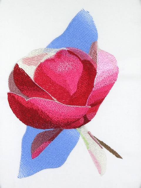 BFC1053 Flowers and Their Meanings