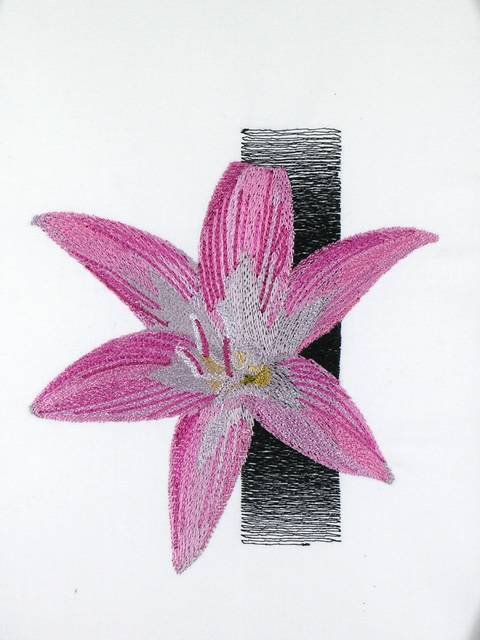 BFC1053 Flowers and Their Meanings