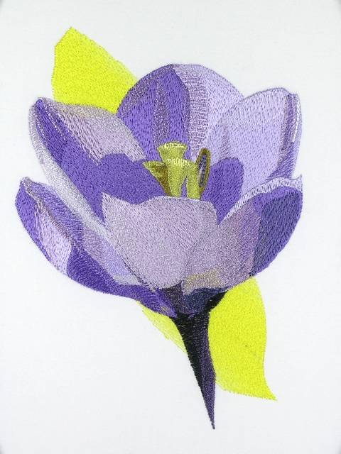 BFC1053 Flowers and Their Meanings