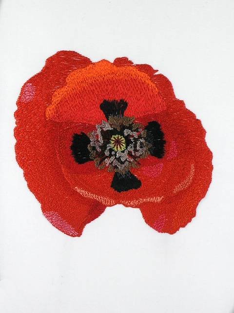 BFC1053 Flowers and Their Meanings