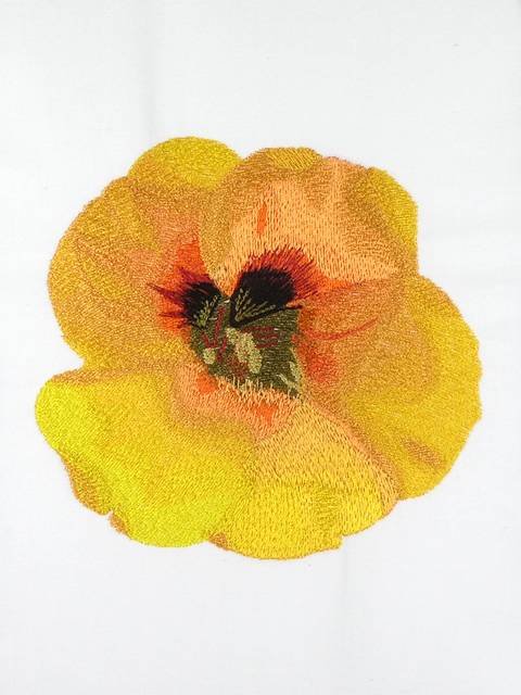 BFC1053 Flowers and Their Meanings