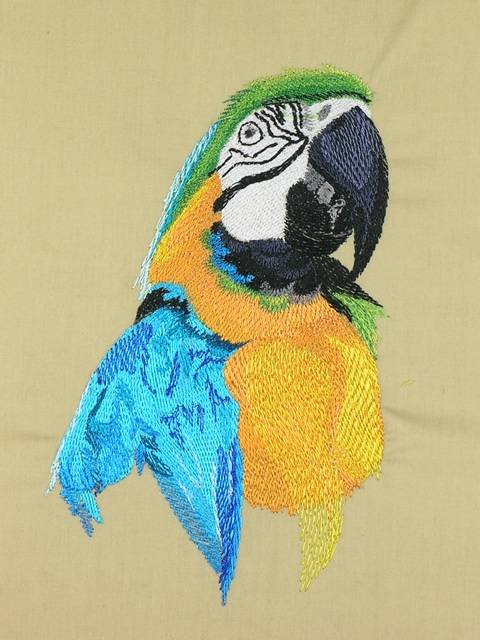 BFC1060 Large Blue and Gold Macaw