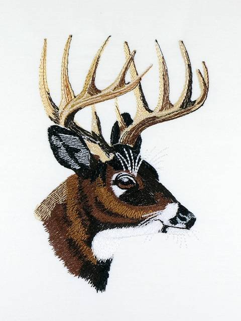 BFC01062 QIH/ Reg Stippled Forest Animals Quilt Set