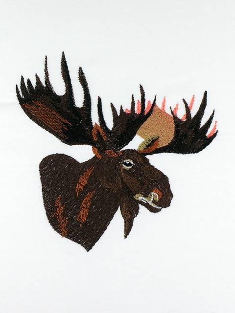 BFC01062 QIH/ Reg Stippled Forest Animals Quilt Set