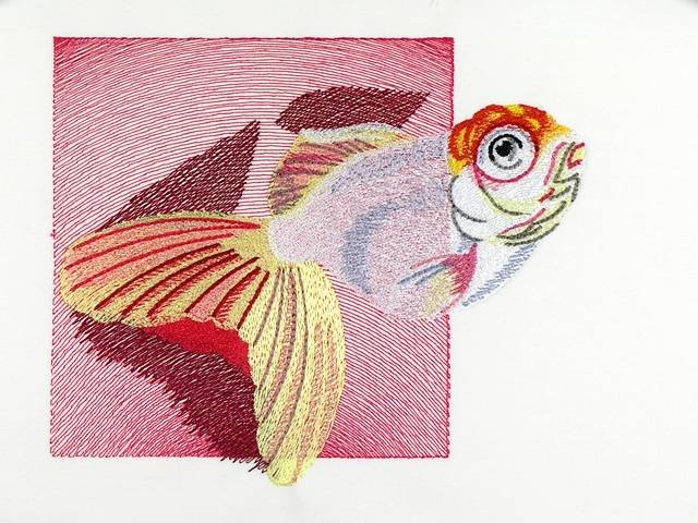 BFC1071 Goldfish