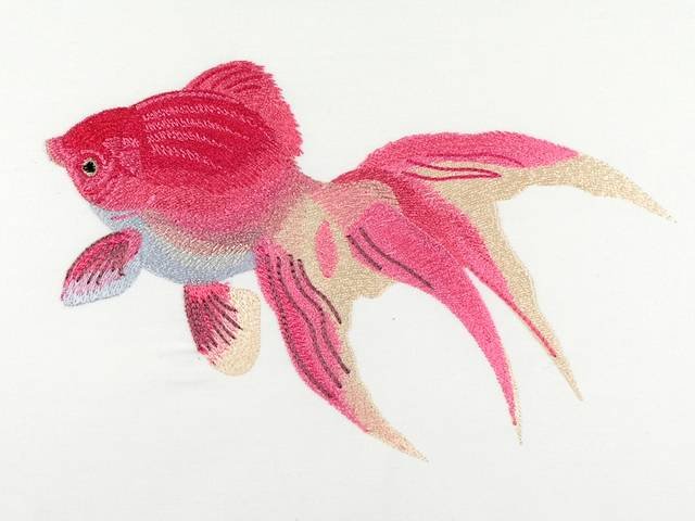 BFC1071 Goldfish