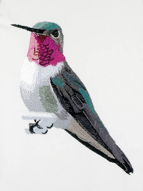 BFC1073 Four Hummingbirds