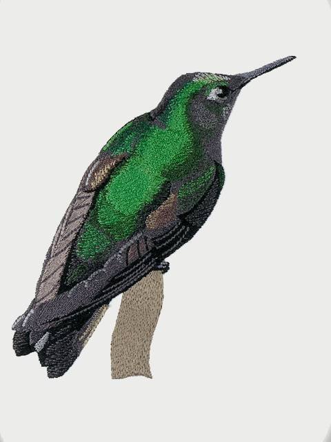 BFC1073 Four Hummingbirds