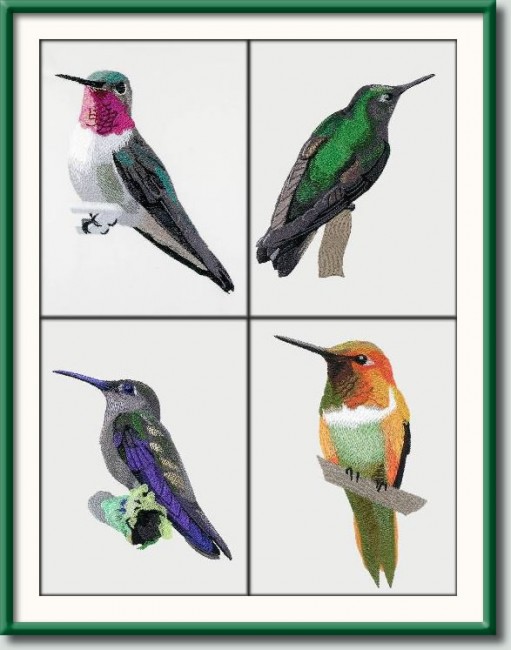 BFC1073 Four Hummingbirds