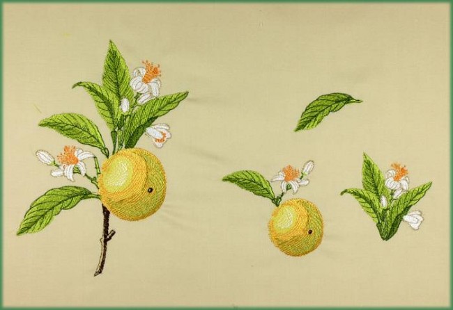 BFC1080 Redoute's Summer Fruits