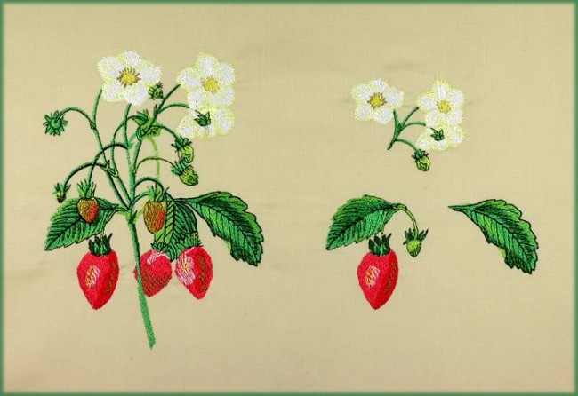 BFC1080 Redoute's Summer Fruits