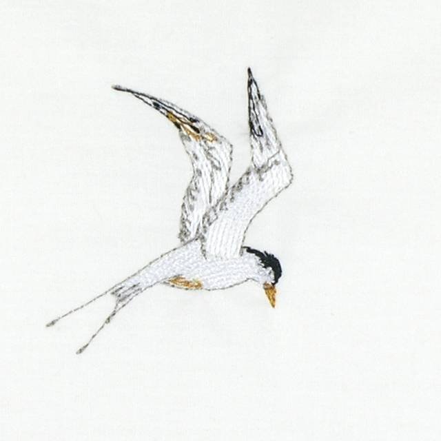 BFC1093 Sally King's Nautical Trio