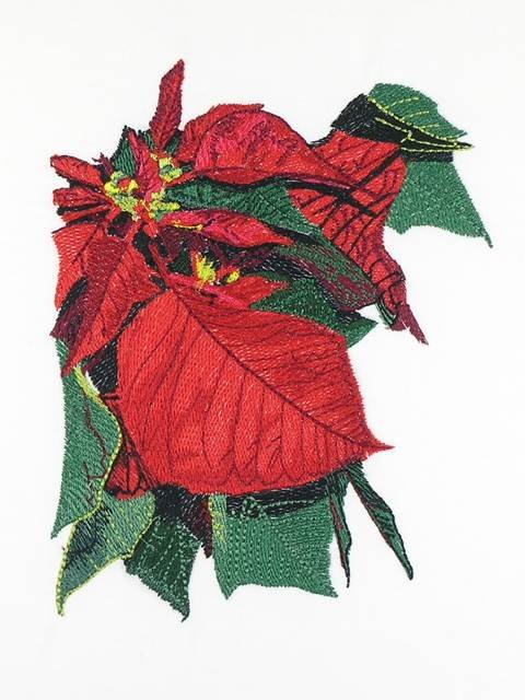 BFC1099 Large Poinsettia Bouquet