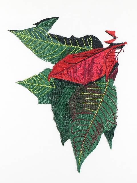 BFC1099 Large Poinsettia Bouquet