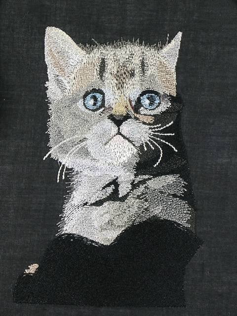 BFC1100 Large Kittens
