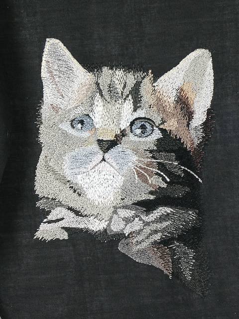 BFC1100 Large Kittens